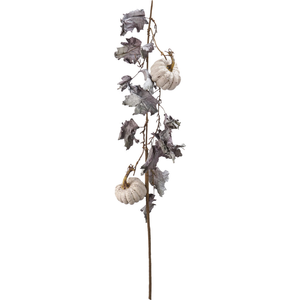 Pick - Withered Pumpkin