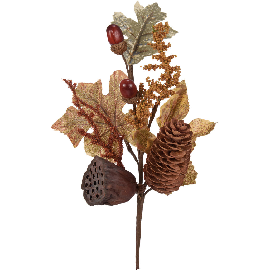 Pick - Fall Pinecone And Lotus Pod