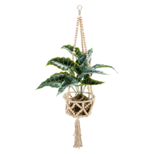 Beaded Plant Hanger