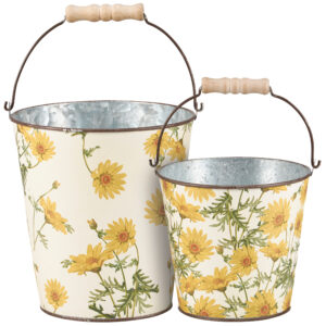 Every Daisy Bucket Set